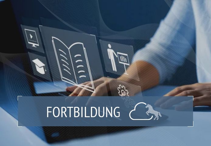 Kleine Fortbildung mit großer Wirkung:  Mikro-Schilfs für die eigene Schulentwicklung