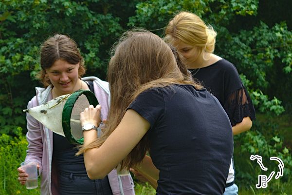 Projektwoche mit chemischen und biologischen Untersuchungen an der Weser